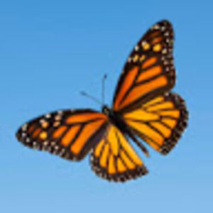 Meet your Posher, Marina